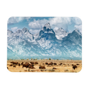 Magnet Flexible Buffle sous les montagnes du Grand Teton