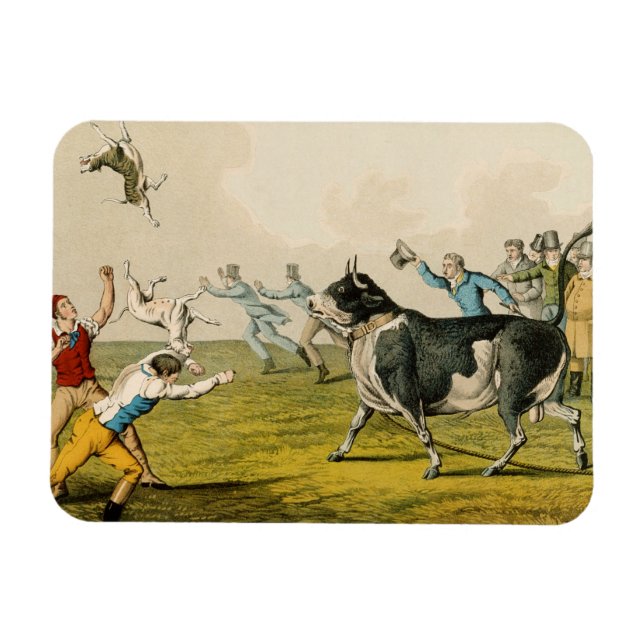 Magnet Flexible "Bull Baiting", pub. de Thomas McLean, 1820, (prin (Horizontal)