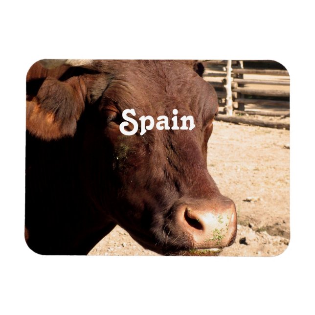 Magnet Flexible Bull espagnole (Horizontal)