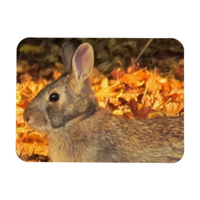 Magnet Flexible Bunny d'automne (Horizontal)