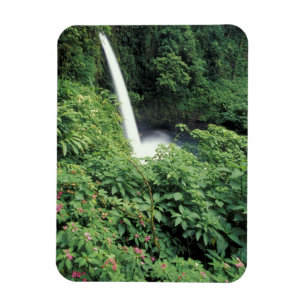 Magnet Flexible CA, Costa Rica. Cascade de La Paz et impatientes