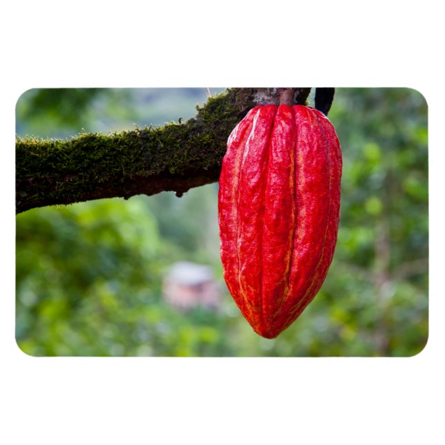 Magnet Flexible cabosse rouge (Horizontal)