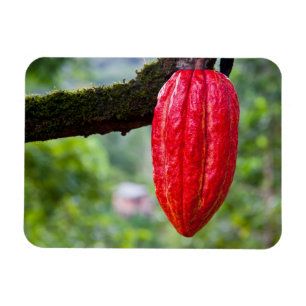 Magnet Flexible cabosse rouge