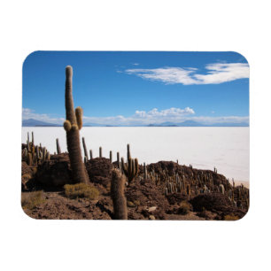 Magnet Flexible Cactus à l'aimant rectangulaire de Salar de Uyuni
