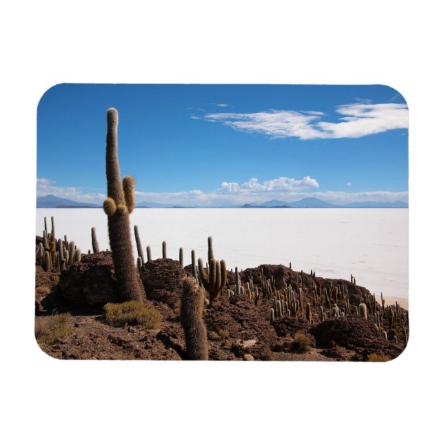 Magnet Flexible Cactus à l'aimant rectangulaire Salar de Uyuni (Horizontal)