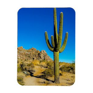 Magnet Flexible Cactus debout
