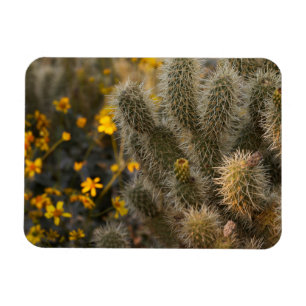 Magnet Flexible cactus et fleurs sauvages