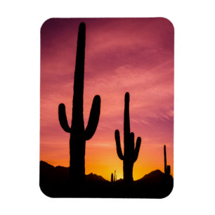 Magnet Flexible Cactus saguaro au lever du soleil, Arizona