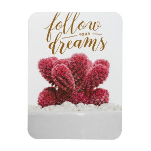 Magnet Flexible Cactus Suivez Vos Rêves