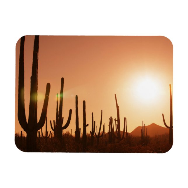 Magnet Flexible Cactus Sur Le Désert (Horizontal)