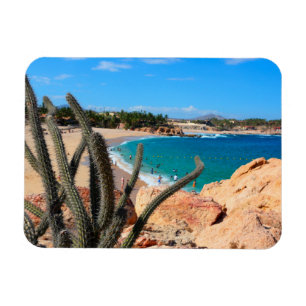 Magnet Flexible Cactus sur le sommet rocheux au-dessus de la plage