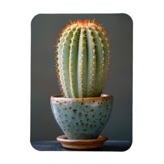 Magnet Flexible Cactus vert dans un pot en céramique Turquoise pho (Vertical)