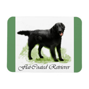 Magnet Flexible Cadeaux d'Art Retriever à revêtement plat