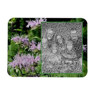 Magnet Flexible Cadre de baume d'abeille violet sauvage Ajouter vo