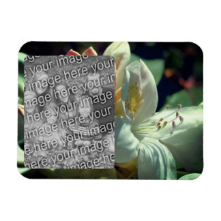 Magnet Flexible Cadre Fleur Azalea Blanc Ajouter Votre Photo