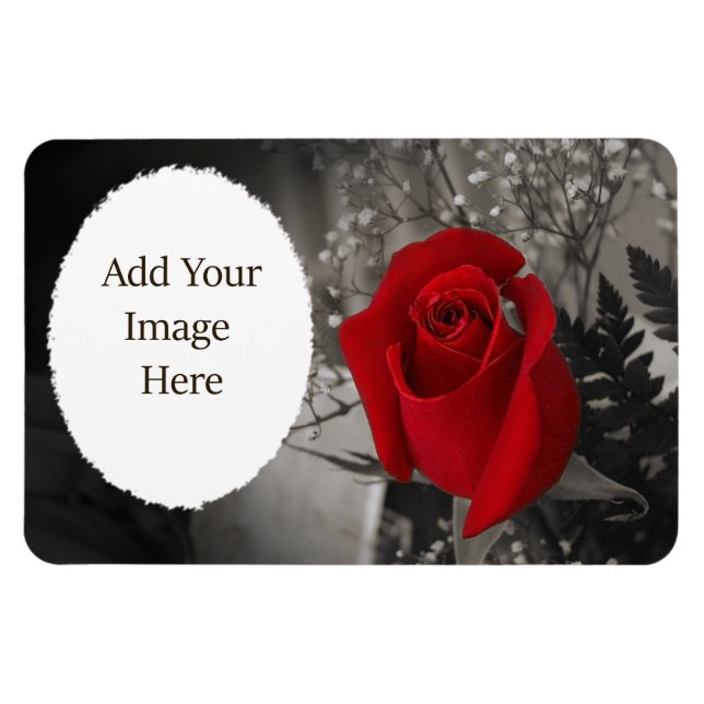 Magnet Flexible Cadre rouge rose noire et blanche ovale (Horizontal)