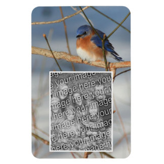 Magnet Flexible Cadres de Bluebird d'hiver Créez votre propre phot