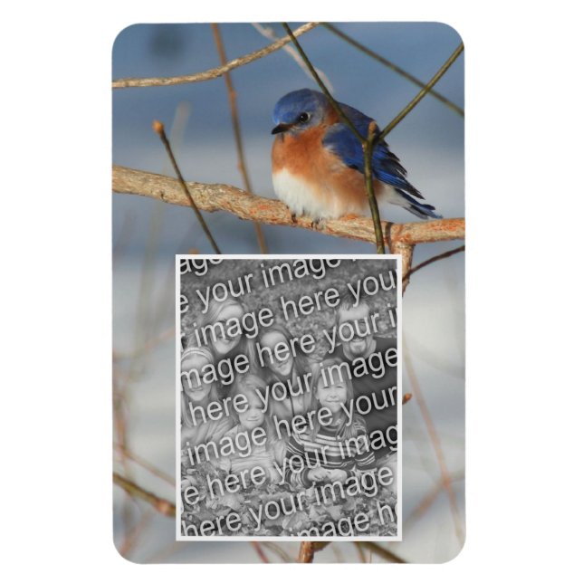 Magnet Flexible Cadres de Bluebird d'hiver Créez votre propre phot (Vertical)