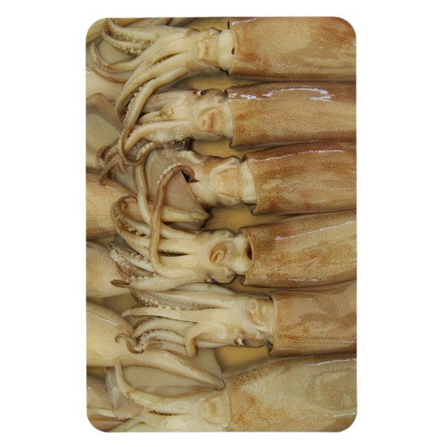Magnet Flexible Calamari (Vertical)