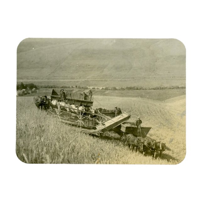 Magnet Flexible Calendar (Horizontal)