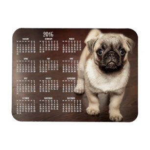 Magnet Flexible Calendrier Chien 2016 Photo Petit aimant 3x4