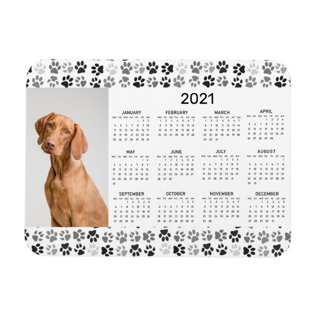 Magnet Flexible Calendrier de l'année 2021 - Photo Chien Chat Poch (Horizontal)