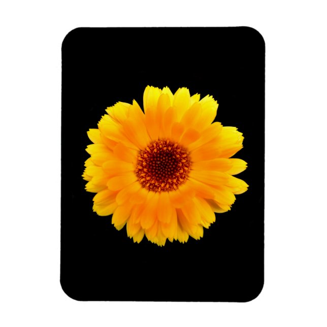 Magnet Flexible Calendula Officinalis (Vertical)