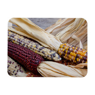 Magnet Flexible California. Affaire Harvest Colorful Indian Corn