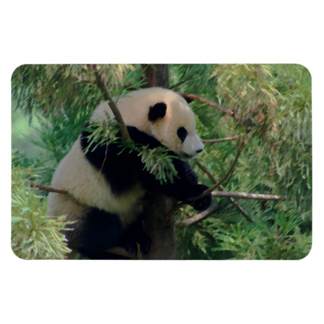 Magnet Flexible Câlins de Panda (Horizontal)