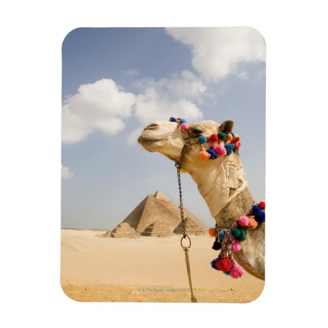 Magnet Flexible Camel avec Pyramides Gizeh, Egypte (Vertical)