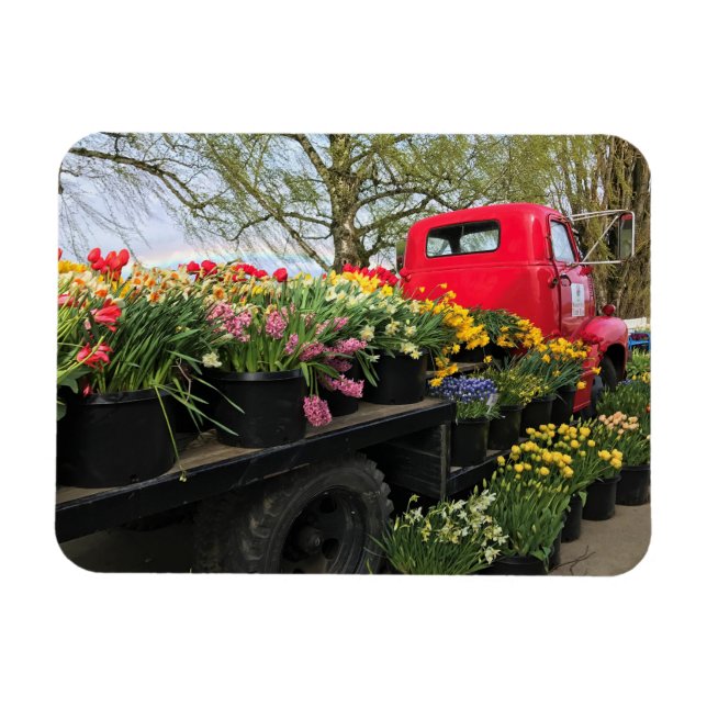 Magnet Flexible Camion rouge avec fleurs de printemps et arc en ci (Horizontal)