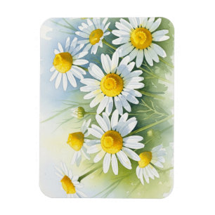 Magnet Flexible Camomille allemande en fleurs