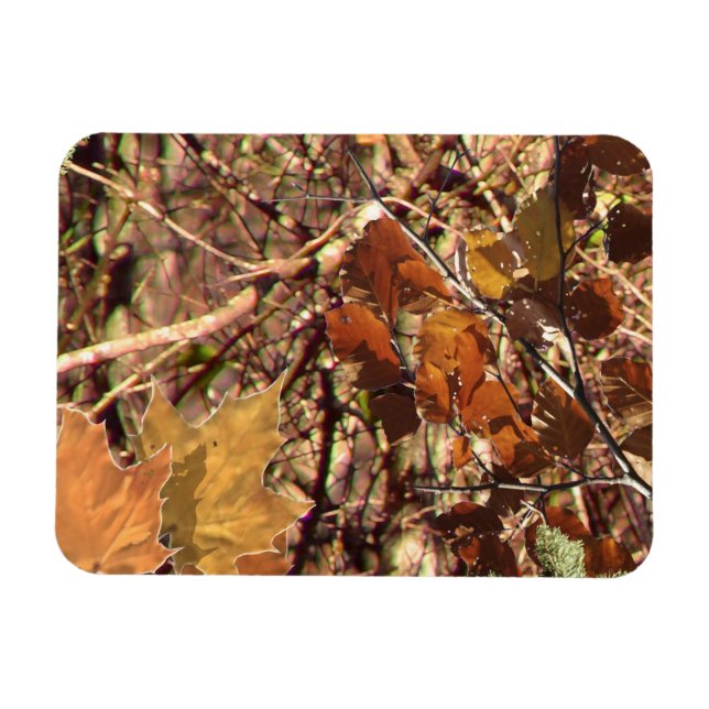 Magnet Flexible Camouflage de Fall Forest Bush (Horizontal)