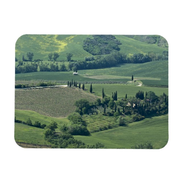 Magnet Flexible Campagne près de Montepulciano, Val d'Orcia, (Horizontal)