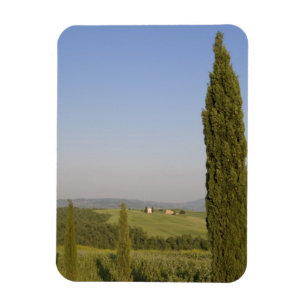 Magnet Flexible Campagne près de Pienza. Val d'Orcia, Sienne