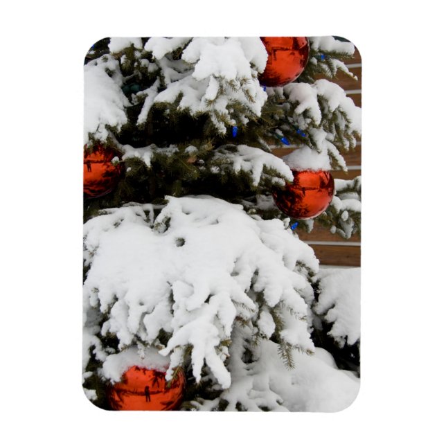 Magnet Flexible Canada, Alberta, Jasper, Parc national de Jasper.  (Vertical)