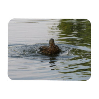 Magnet Flexible Canard secouant Tailfeather