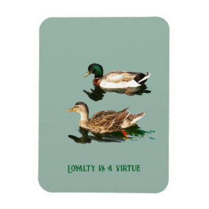 Magnet Flexible Canards colverts