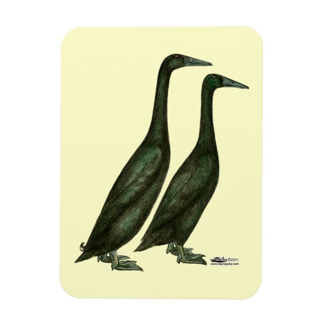 Magnet Flexible Canards noirs (Vertical)