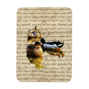 Magnet Flexible Canards sur papier vintage
