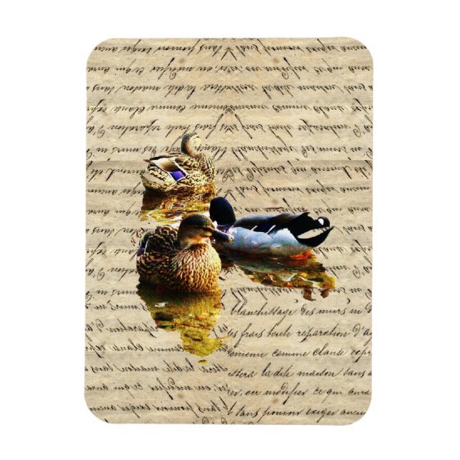 Magnet Flexible Canards sur papier vintage (Vertical)
