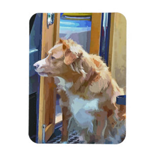 MAGNET FLEXIBLE CANAUX