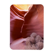 Canyon de nombreuses couleurs