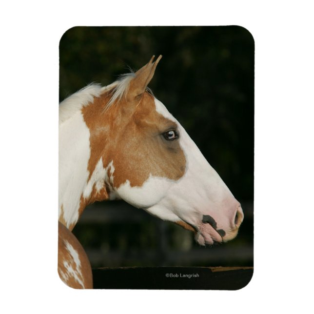 Magnet Flexible Capture d'écran du Cheval de peinture 2 (Vertical)