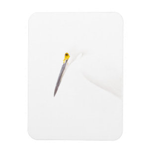 Magnet Flexible Capture d'écran Egret