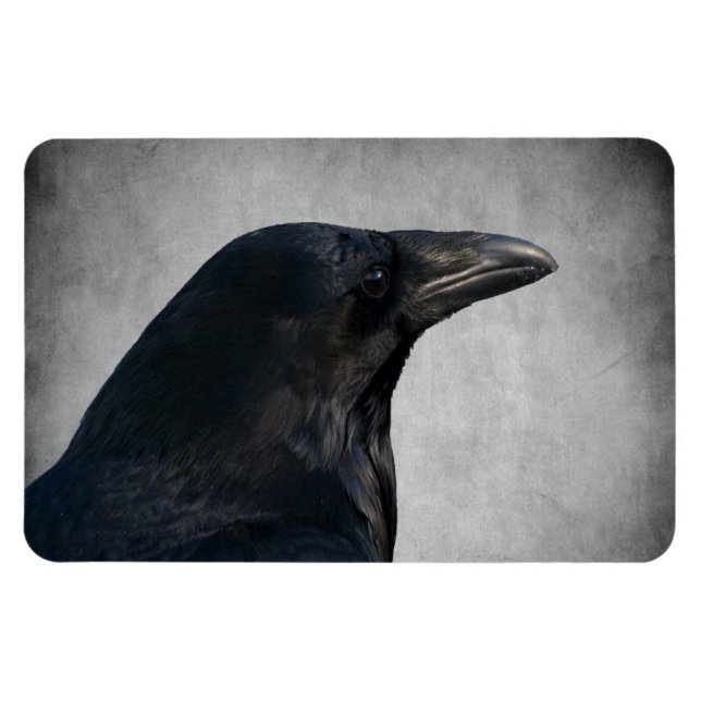 Magnet Flexible Capture du glamour du corbeau (Horizontal)