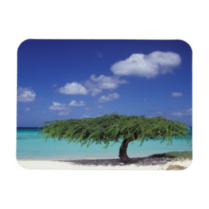 Magnet Flexible Caraïbes, Aruba. Plage Eagle