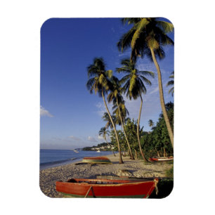 Magnet Flexible CARAÏBES, Grenade, St George, Bateaux à palme