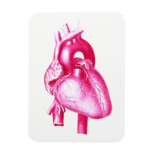 Magnet Flexible Cardiologie Pop Art : Pink Human Heart Anatomie (Vertical)