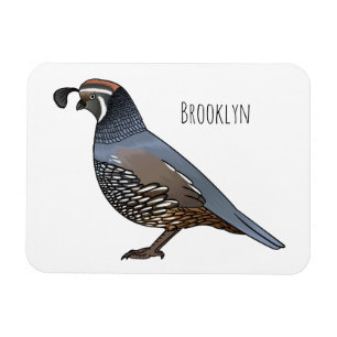 Magnet Flexible Caricature d'oiseau de caille de Californie